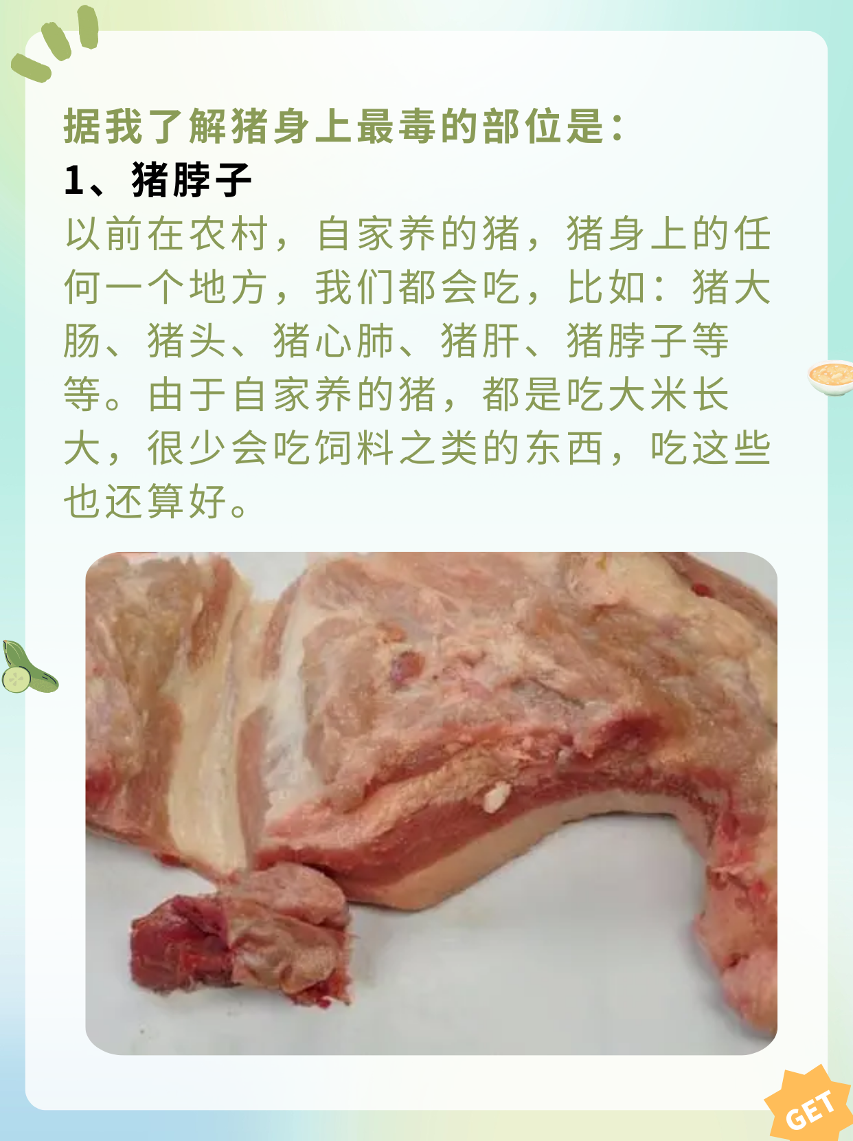 移植猪器官后会不会变成猪？对话中国器官移植“拓荒者”陈忠华：供需比约为1∶8，异种器官和人工器官医用时代将到来