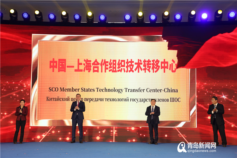 权威访谈丨坚持科技开放合作造福人类——访科技部国际科技合作中心主任赵静