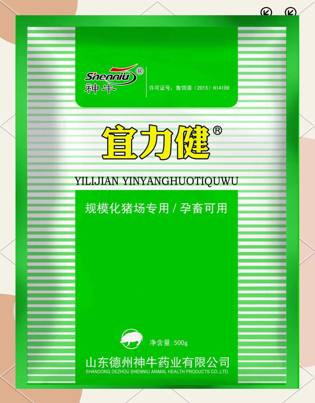 我国科学家揭示猪蓝耳病细菌继发感染的关键机制