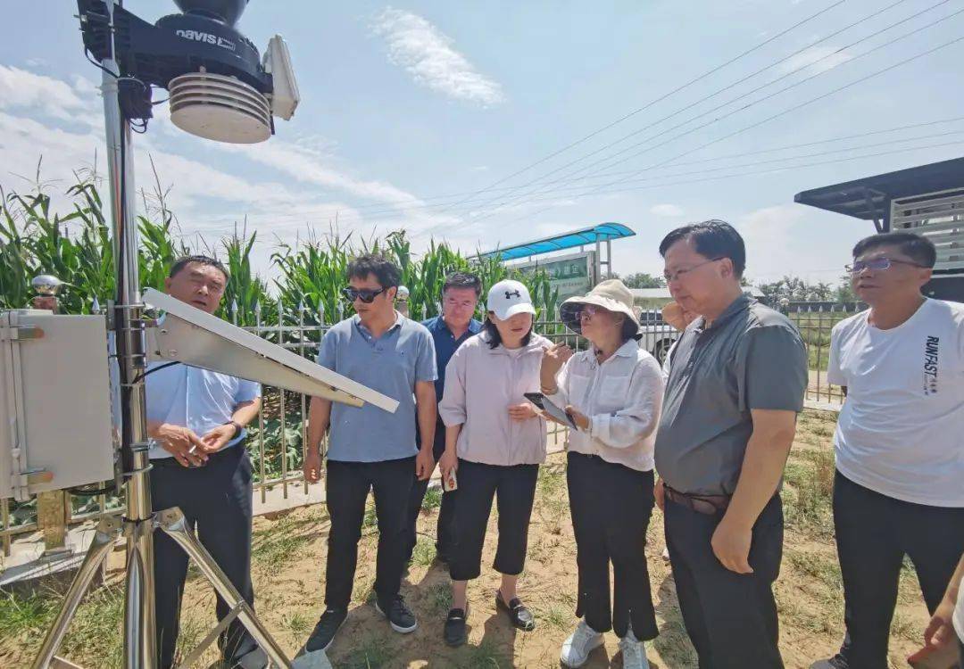 农业农村部召开视频调度会强调 有效应对黄淮地区连阴雨天气影响 全力确保秋粮丰收到手、秋播种足种好