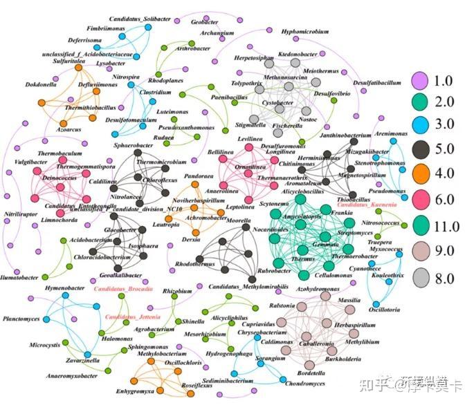 中国石化获得发明专利授权:“一种培养厌氧氨氧化菌的载体及其制备方法和应用”