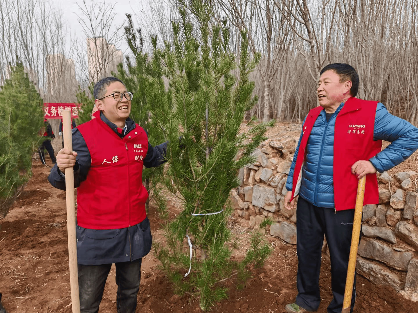 人保伴您前行,人保有温度_2025中国青贮玉米行业：资源高效利用的内在要求