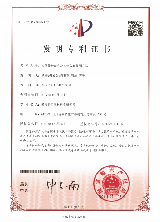 时代新材获得发明专利授权：“一种分离式发电机弹性支撑簧及设置方法”