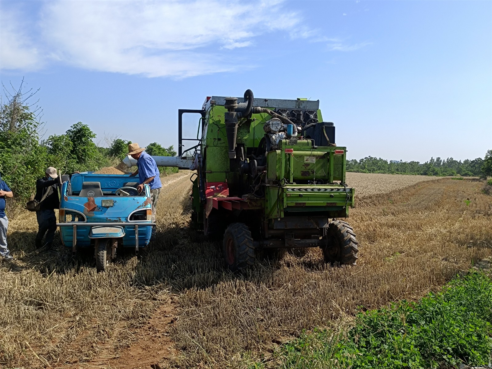 （乡村行・看振兴）山西闻喜：抓住晴好窗口期 抢收、抢烘、抢种守护“粮袋子”