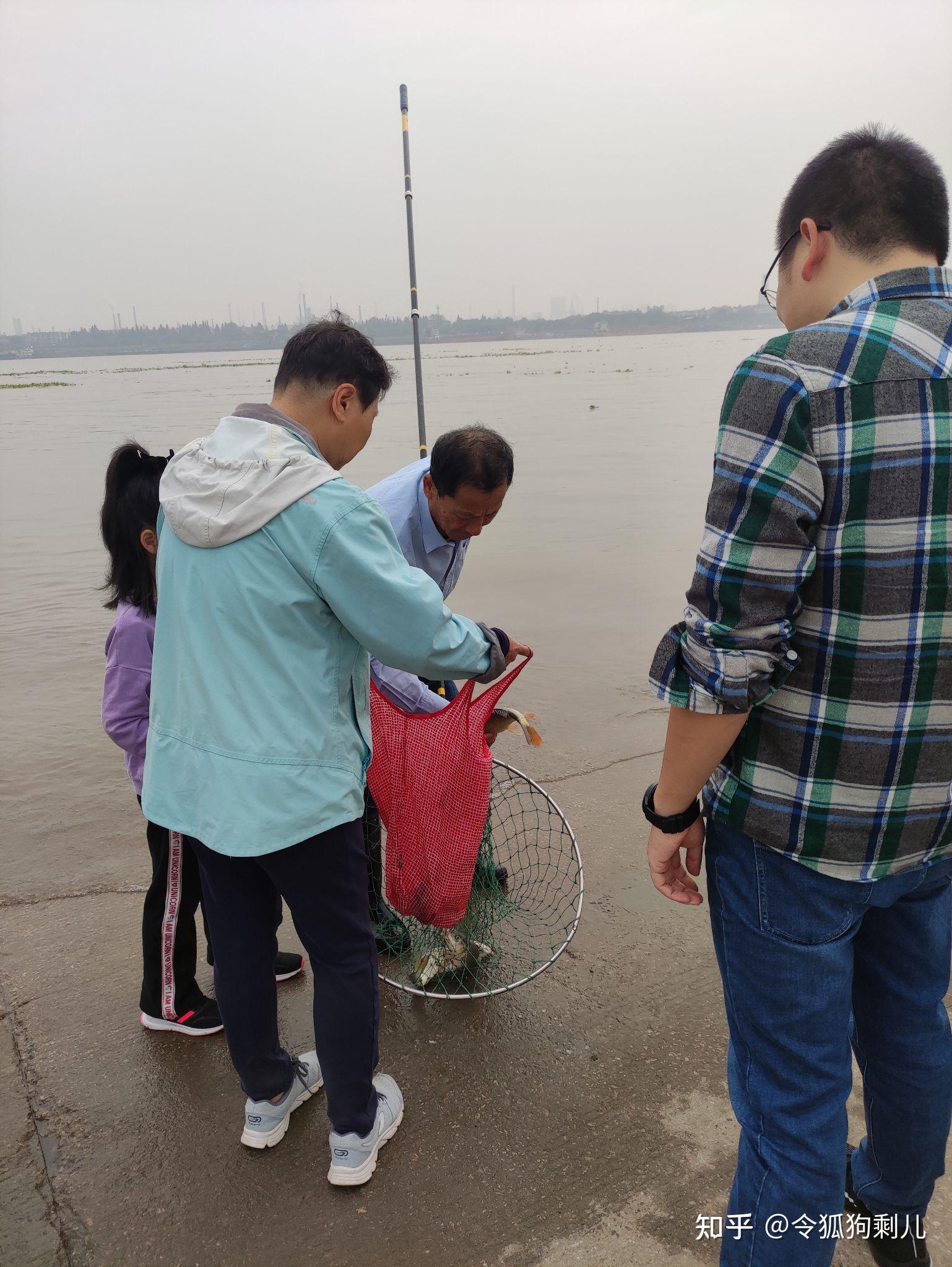 14日起实施！《对美船舶收取船舶特别港务费实施办法》来了