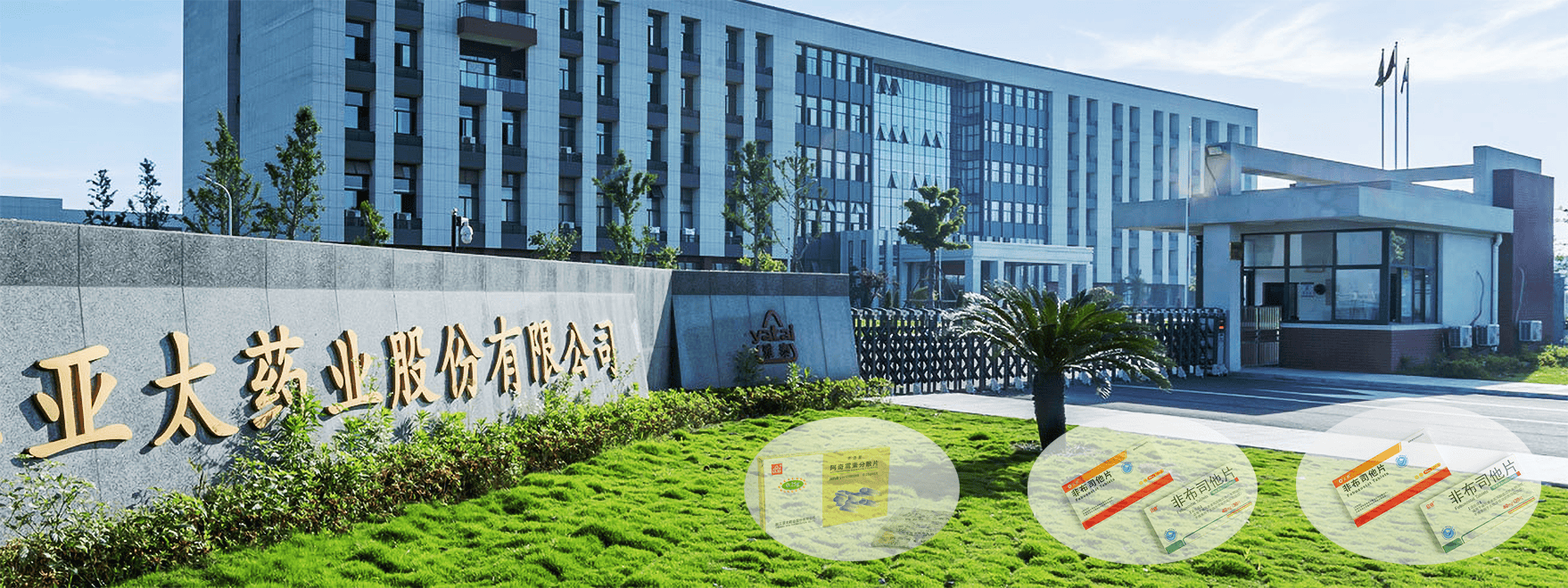 10月15日亚太药业涨停：幽门螺杆菌概念，化学原料药，工业大麻概念热股