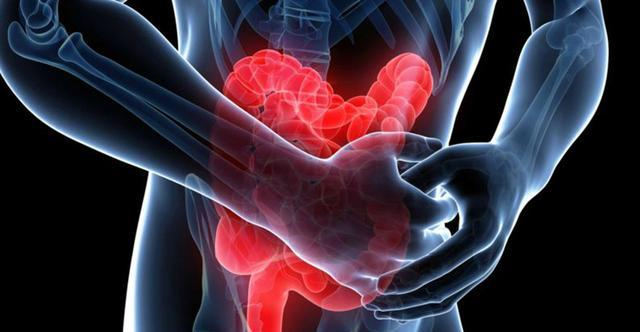 新研究发现隐藏的“卡路里燃烧”机制