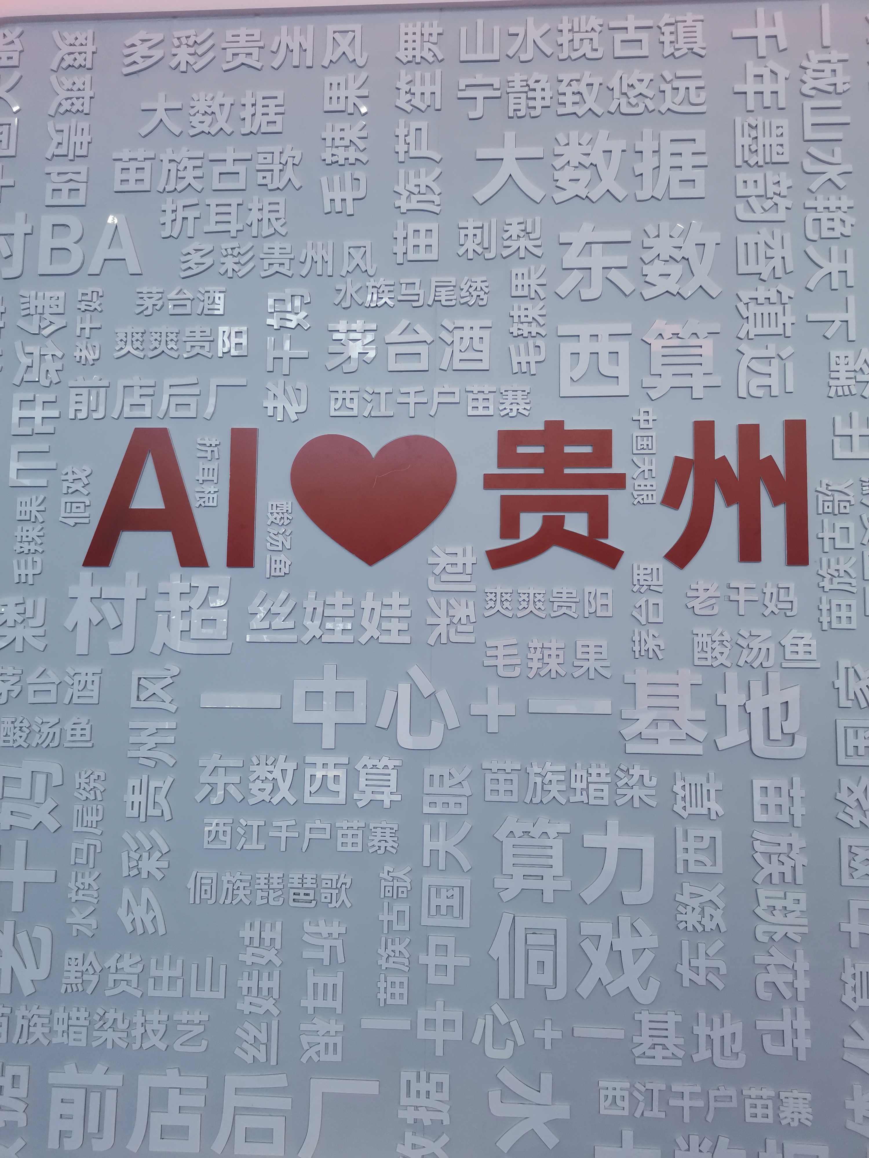 打卡“数博会” 触摸新科技