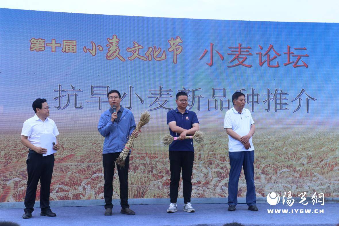 （乡村行・看振兴）福建清流：秋粮收购忙 颗粒尽归仓