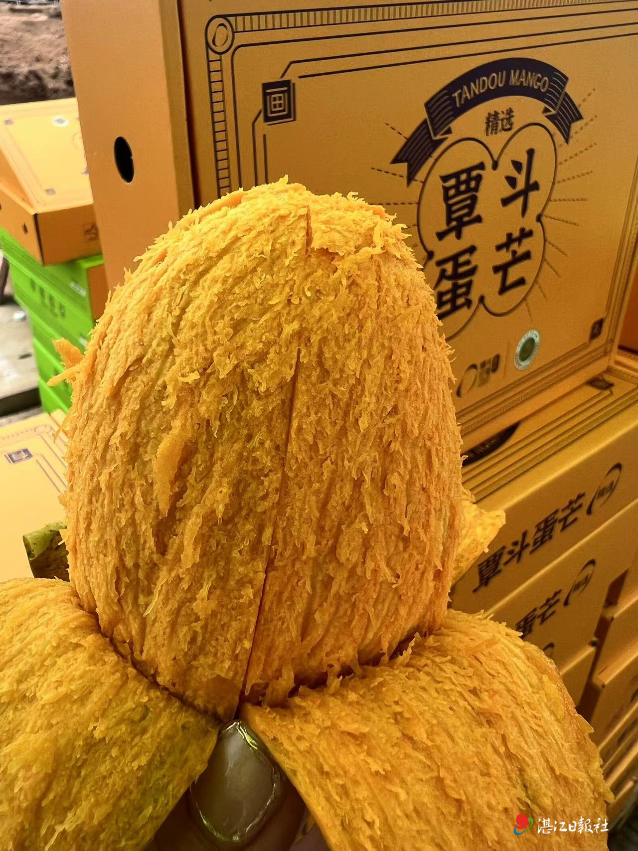 芒果超媒:前三季度净利润同比下降29.67%