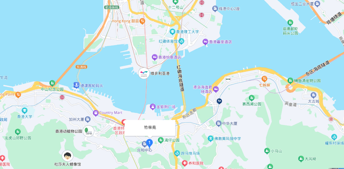 张勇香港买豪宅：总价5354万港元，已交定金267.7万！该处房产去年税后净租金收入超百万
