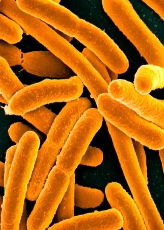 和邦生物:布尔津硅石矿可用于晶硅制造