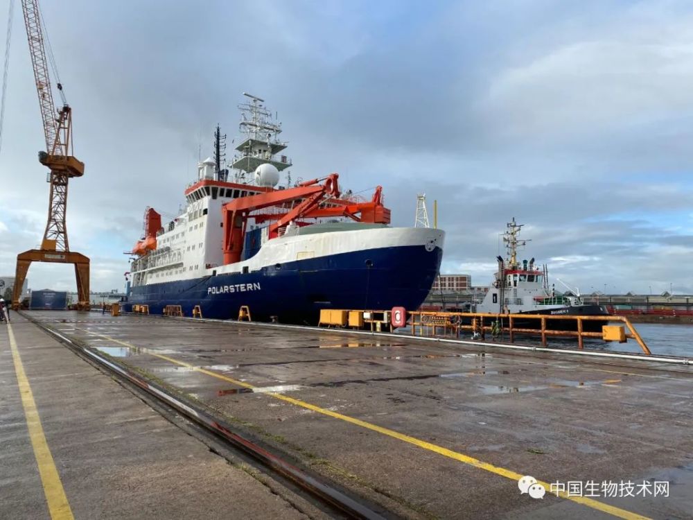 新华深读丨亲历我国最大规模北极科考