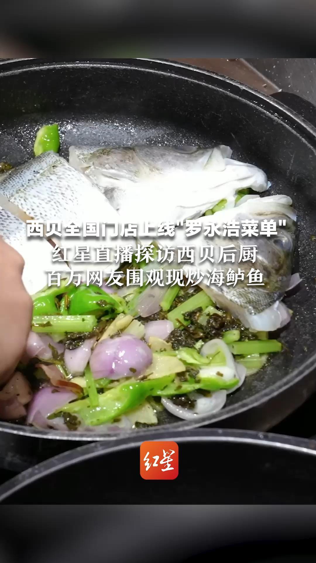 西贝冲上热搜！全国近40道产品降价，门店周末再现排队，网友：涨薪又降价，很良心