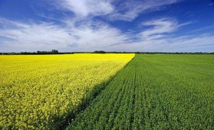 长源电力：成功引进部分长期积极股东