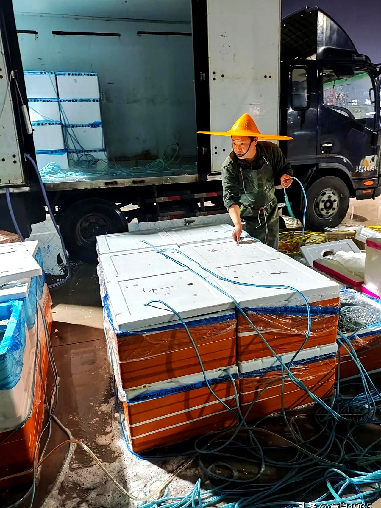 中水渔业跌停,上榜营业部合计净卖出5766.38万元