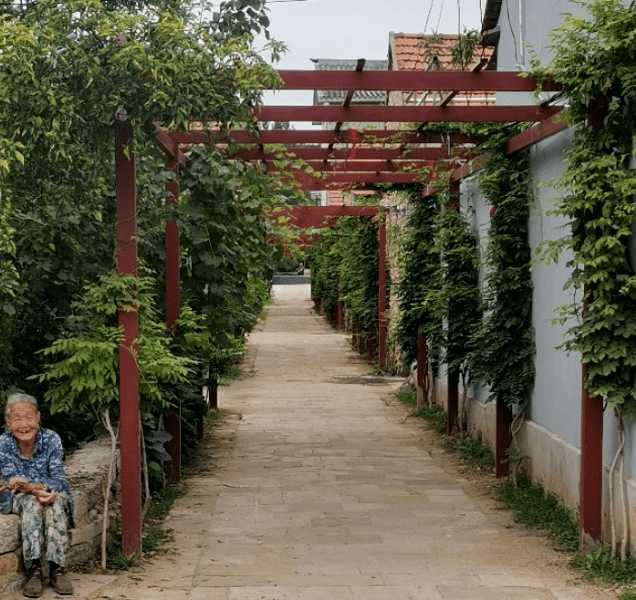 (乡村行・看振兴)内蒙古农村牧区的多重“寒冬保障”