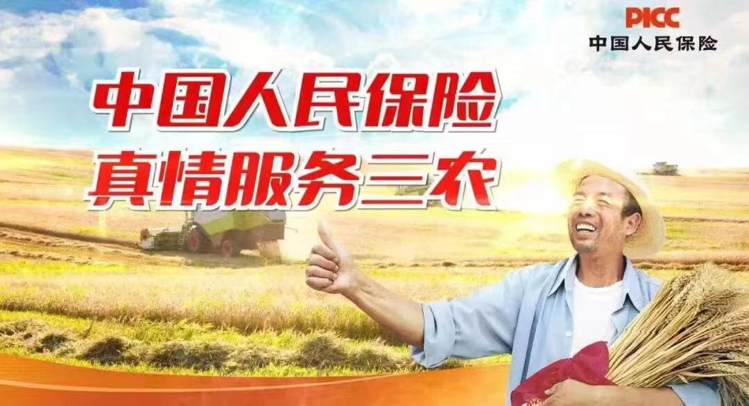 人保服务 ,人保财险 _玻璃棉行业市场供需格局及进出口情况、未来前景分析