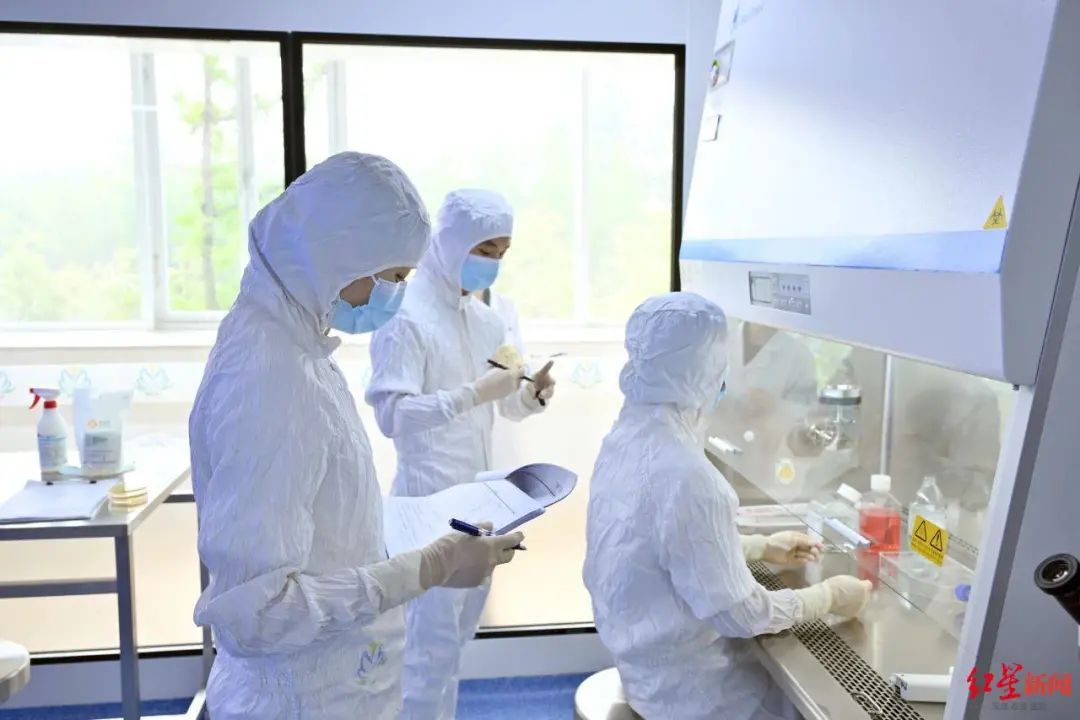 信立泰:SAL0140片治疗慢性肾脏病获批临床试验