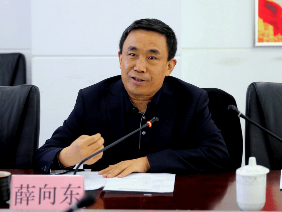 东华软件:投资设立“东华软件(塔城市)有限公司”