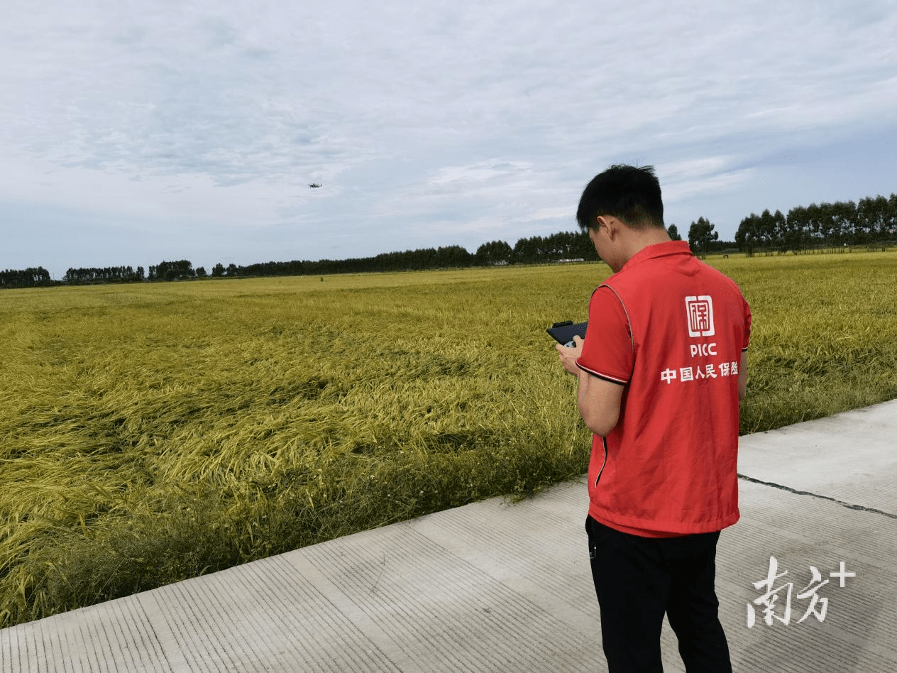 航空材料全生命周期管理 智能检测与延寿技术的经济效益最大化_保险有温度,人保有温度