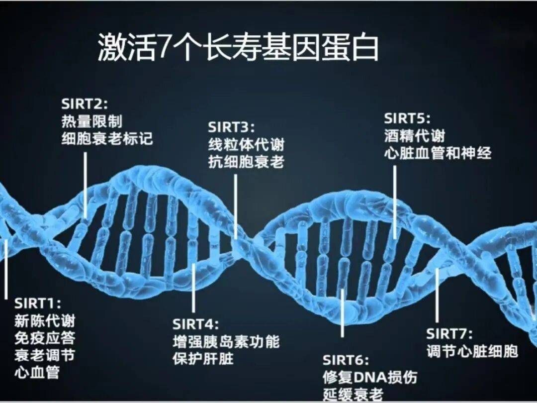 国际最新研究：超百万人的DNA数据揭示精神疾病共享五类遗传信号