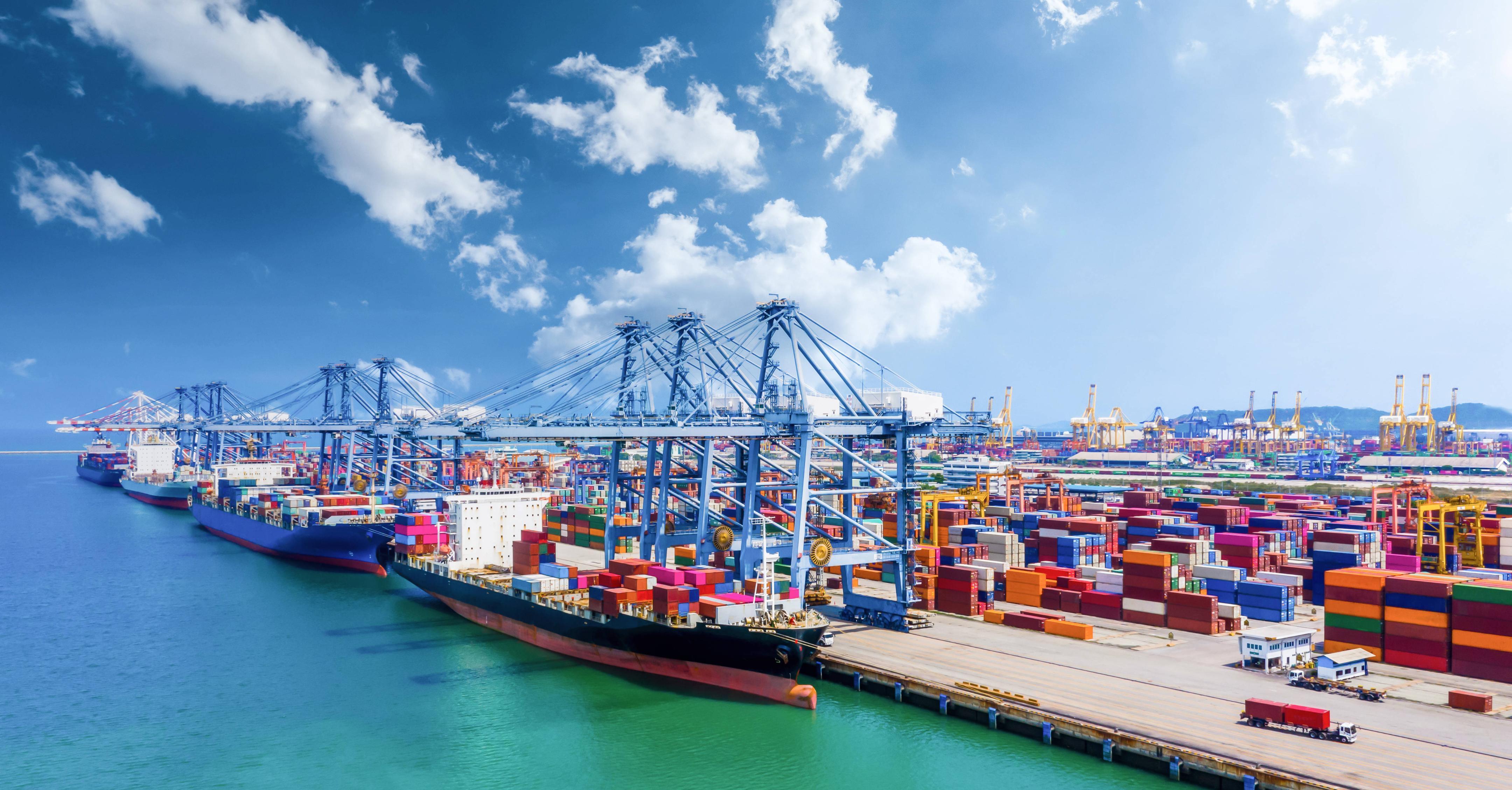 2025/2026年上海口岸海运智利樱桃进口季启幕