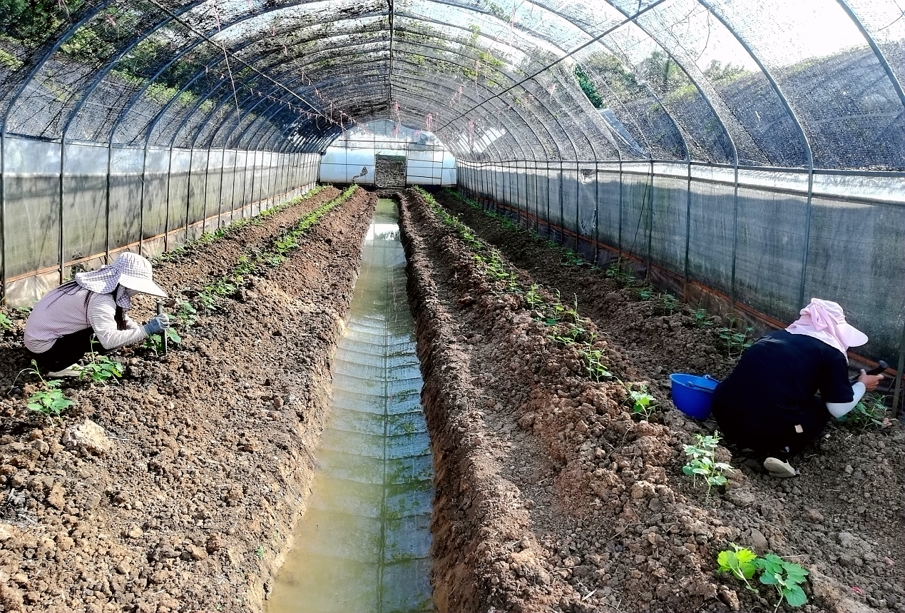 华自科技：柬埔寨项目正在有序验收中