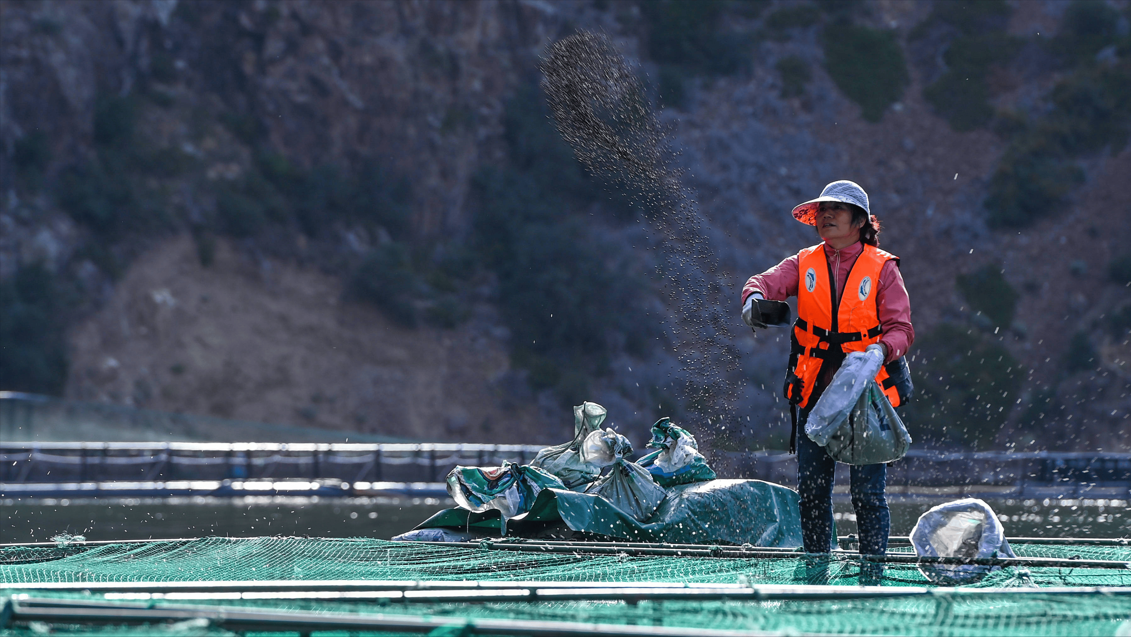 保险有温度,人保服务_2026中国三文鱼行业市场深度调研及未来趋势分析