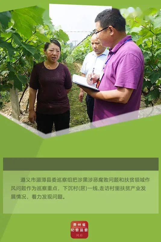 贵州证监局依法严肃查处贵州百灵财务造假案