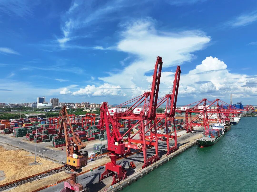 招商港口：公司积极把握海南自贸港发展机遇