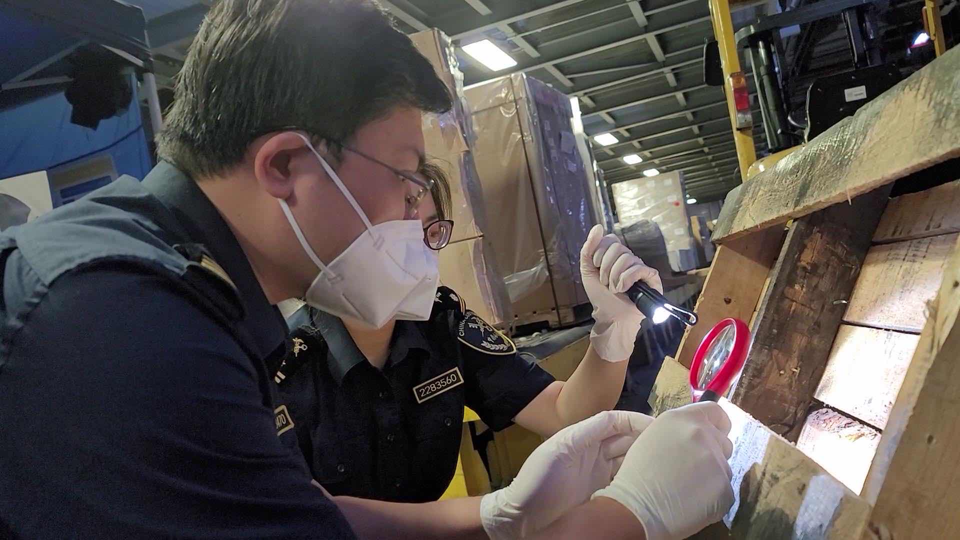 海关总署、天津海关一行赴脑机海河实验室开展调研工作