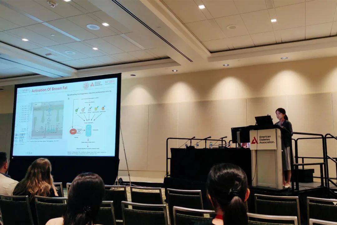 国际医学：第十三届董事会成员任期自2024年5月20日起，任期三年
