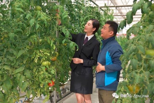 中山农商行迎来“新帅”：刘敬砚出任党委书记