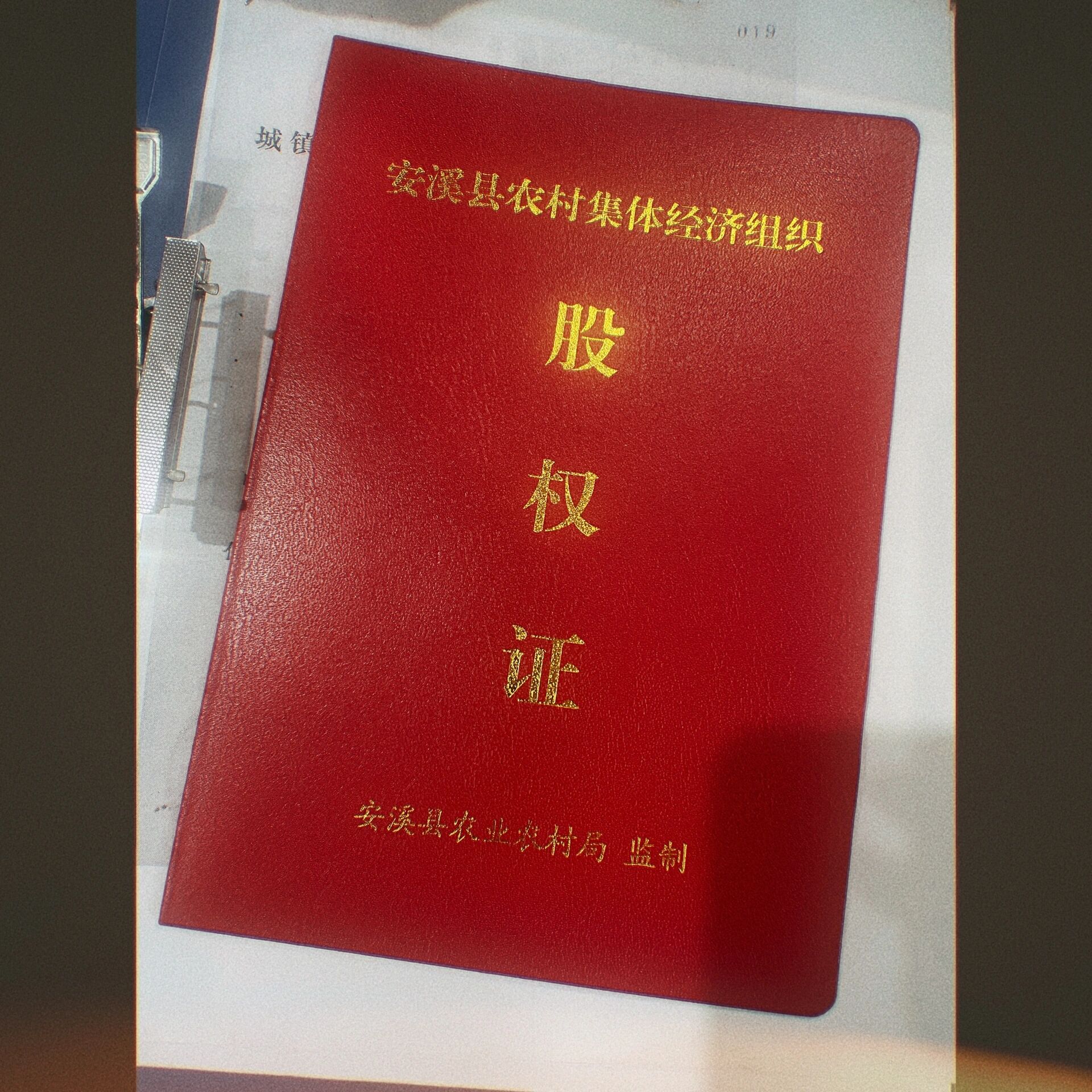 陕西金叶：已不持有国际经济发展有限公司股权