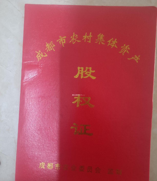 陕西金叶：已不持有国际经济发展有限公司股权