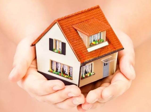 2026年食用淀粉行业现状洞察与未来趋势深度剖析_人保财险政银保 ,拥有“如意行”驾乘险，出行更顺畅！