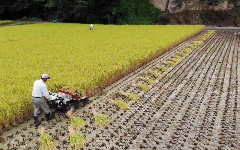 汉得信息成交额创2025年3月14日以来新高