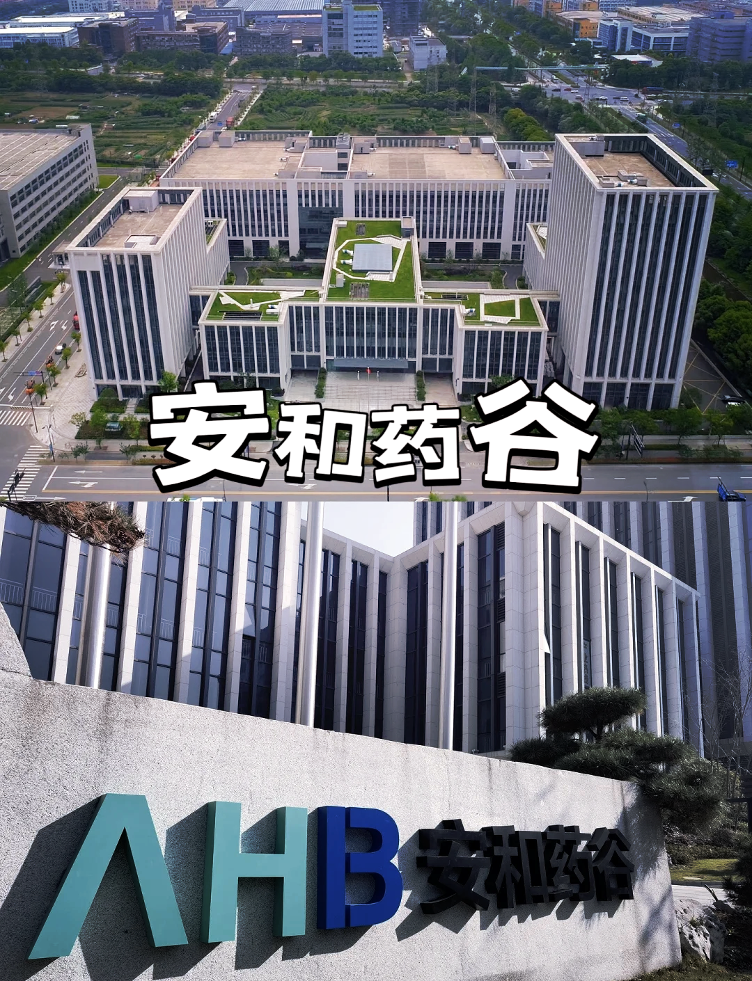 赴港上市的先为达生物：估值水涨船高难掩亏损窘境，核心产品遭红海围剿