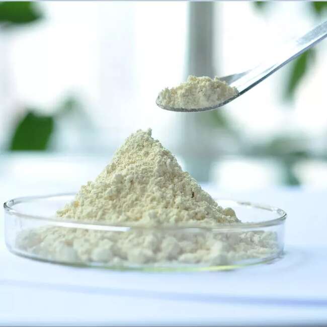 原料药生产转移检查不符合要求 方盛制药：不会对生产经营产生实质性影响