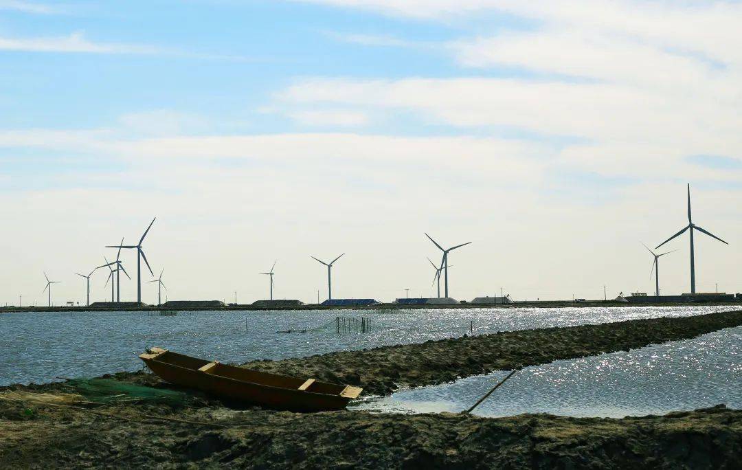 我国首批生态海盐项目在天津发布
