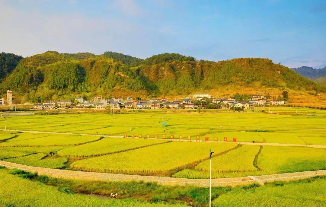 （乡村行・看振兴）好水兴业 江西赣县源头活水促振兴