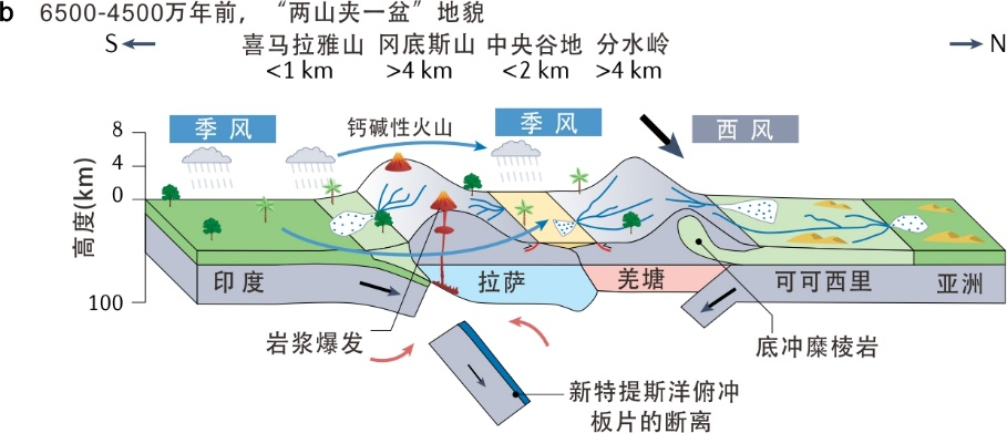 我国科学家参与揭示多发性硬化症的发病新机制