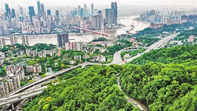 重庆巫山:荒滩“变身”生态公园 为城市添新景