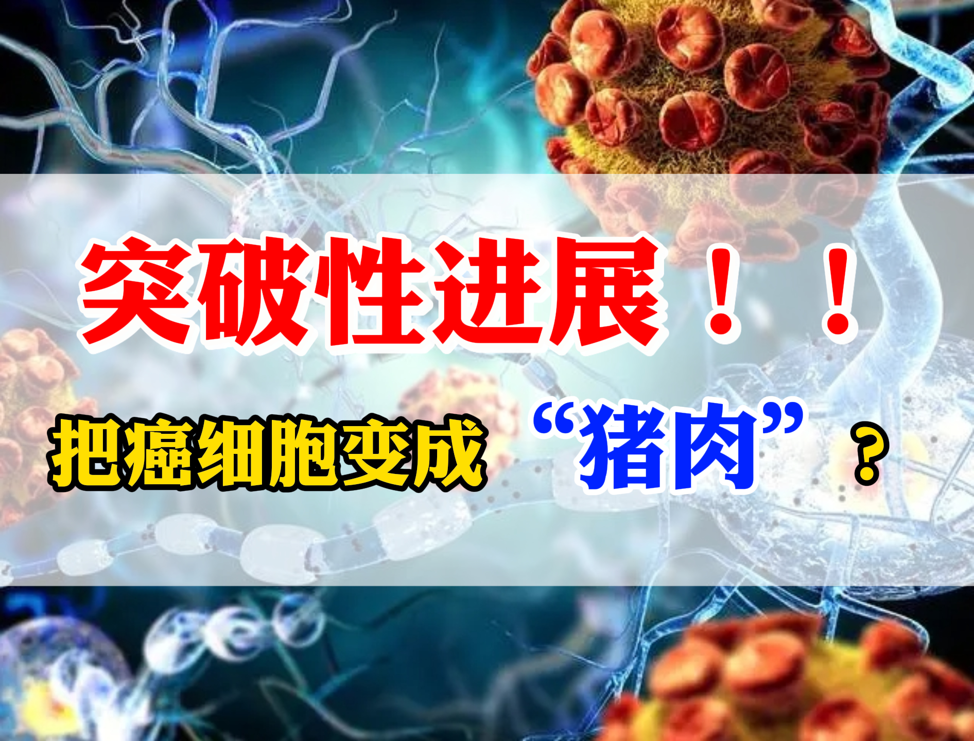 科学家刊文称:发现影响癌症进展的关键细胞