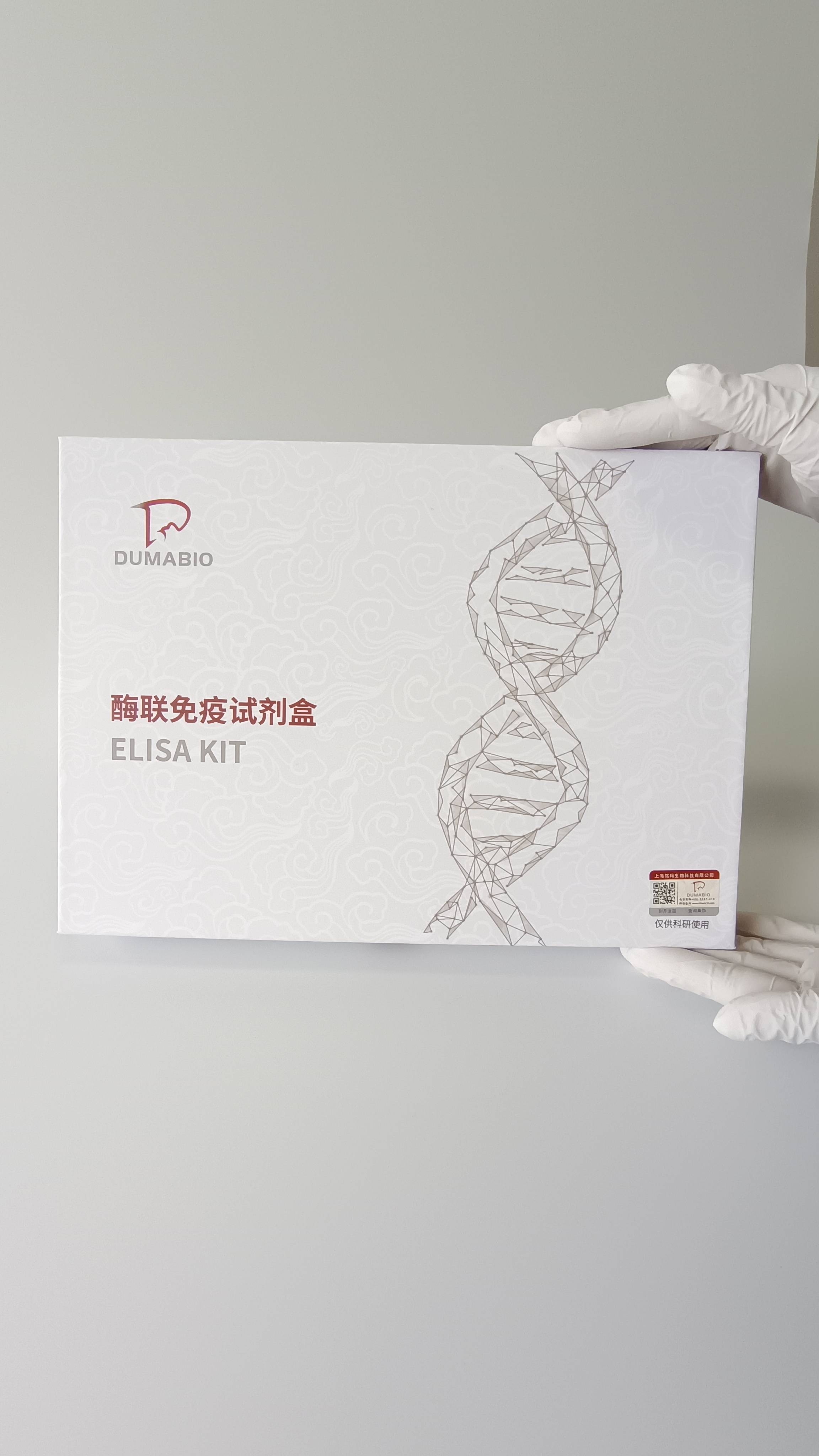 圣湘生物:拥有获得CE认证的尼帕病毒核酸检测试剂盒以及国内的科研版试剂盒