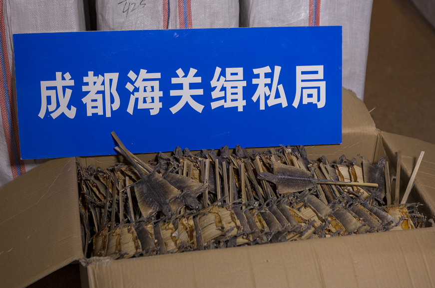 2025年南京海关共检出进境植物有害生物1595种