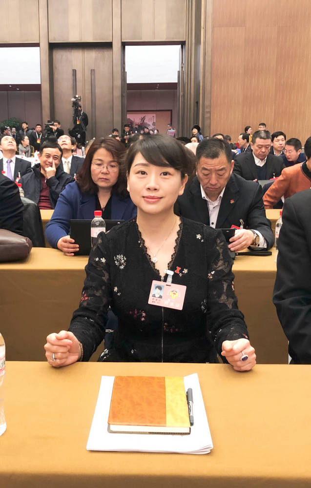 山东两会“侨声”传递发展期盼与信心