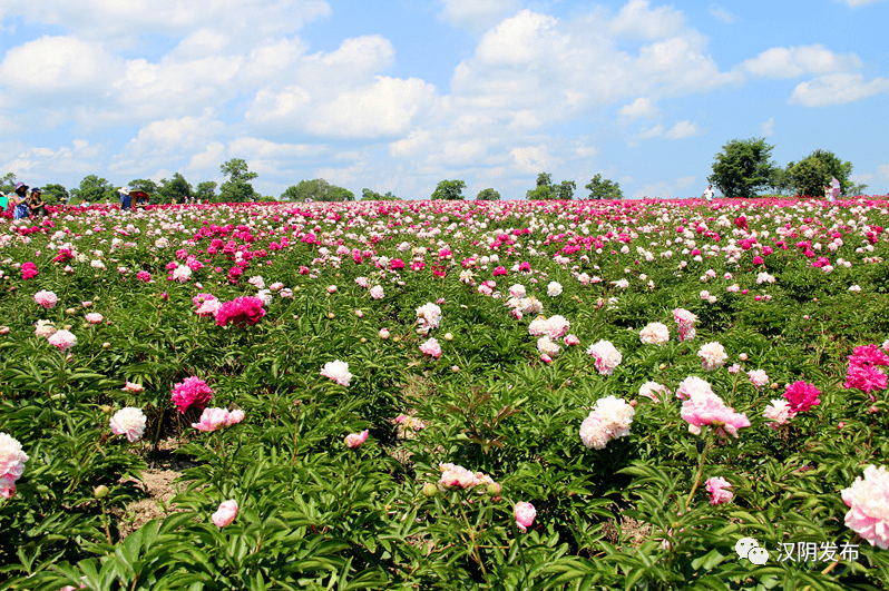 第五届青山科技奖出炉：聚焦“数字+绿色”，鼓励基础科研“更落地”