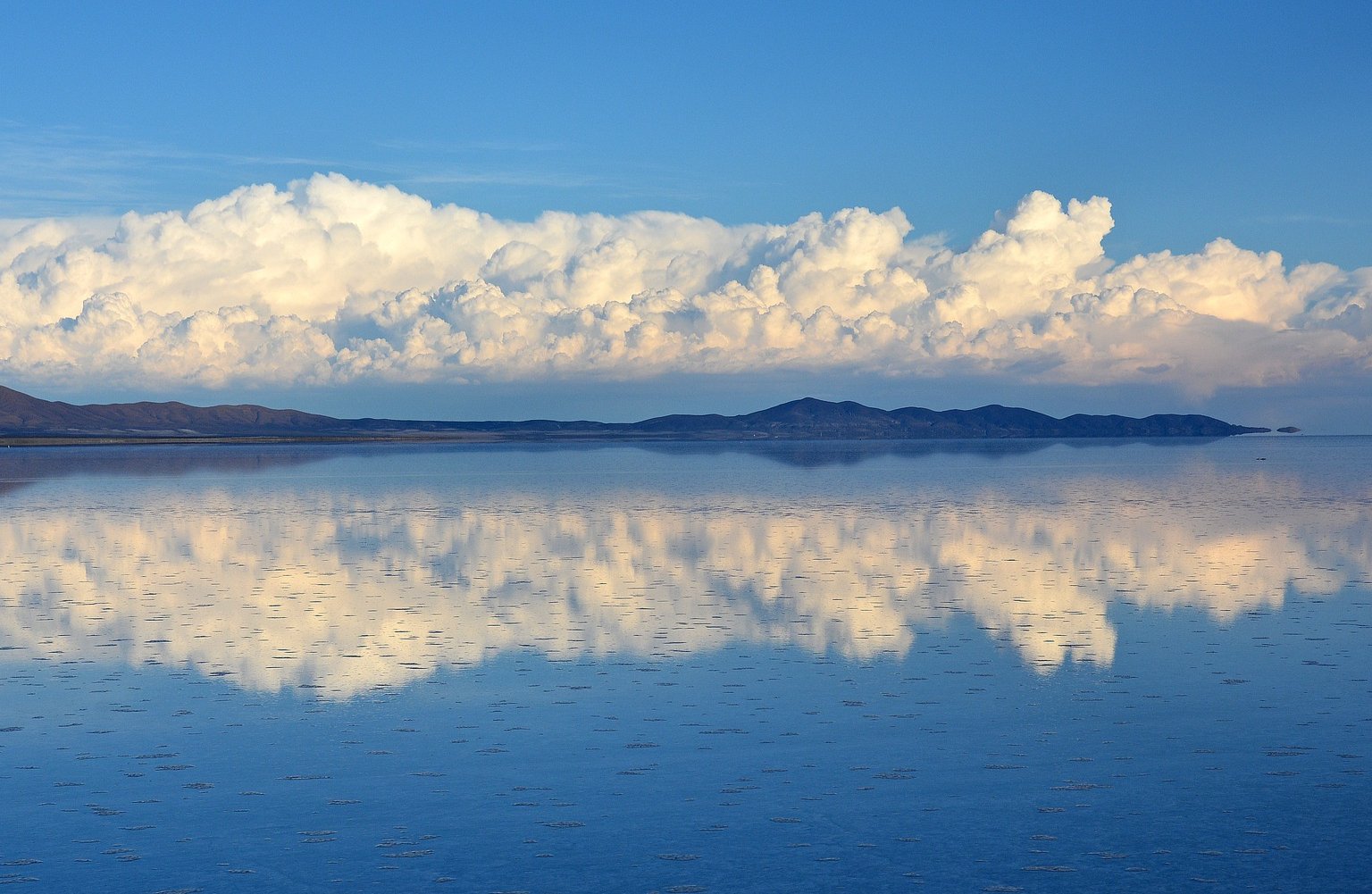 吉大通信(300597.SZ)：预计2025年净亏损5960万元-8920万元